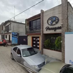 Bordados paniagua