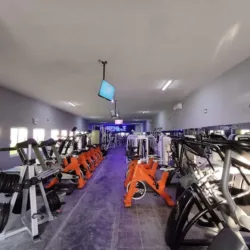 Performance Gym