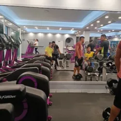 Expert Gym
