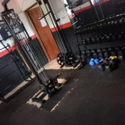 M GYM ELITE