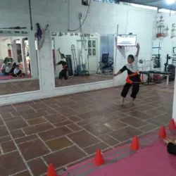 Centro Multidisciplinario integral TAPIA