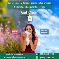 Get Clean