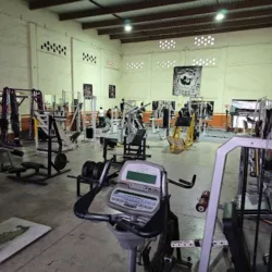 Steel Fitness Extrem Gym