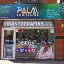 PALM :: Estudio Gráfico