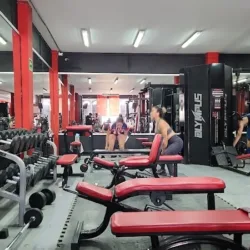 Gym Evolución