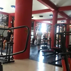 Body Iron