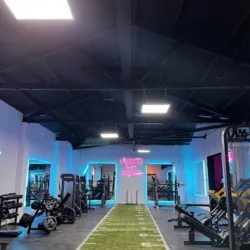 BODYLAB