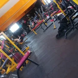 COLISEO GYM
