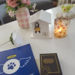 Cremación de Mascotas Tijuana La Fe JAGR