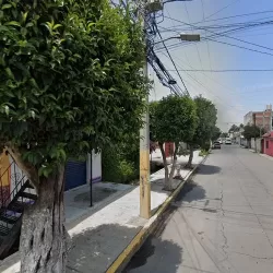 Merceria Leo