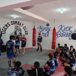 Tigers Combat Club