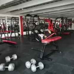SPORT GYM VF