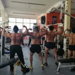 GYM MAX FORT