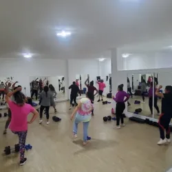 Evolution Gym