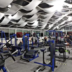Gimnasio | Gym Bros | estudio