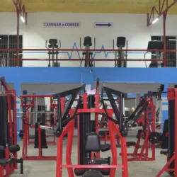 BODY EVOLUTION GYM 2