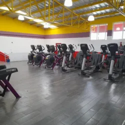 Gimnasio 130