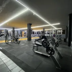 GIMNASIO SHAPED BODY