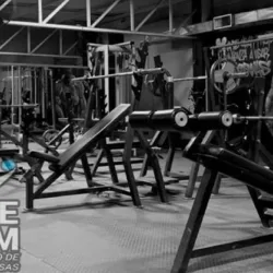 Suicide GYM