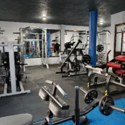 23 Fit
