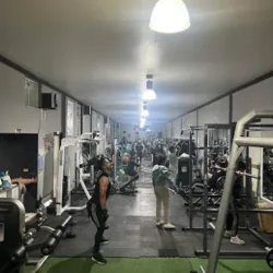 Gym Zeus