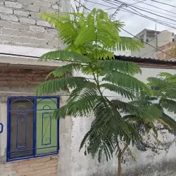 BORDADOS Y MAS