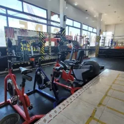 Escuela De BOXEO Jaspe Team