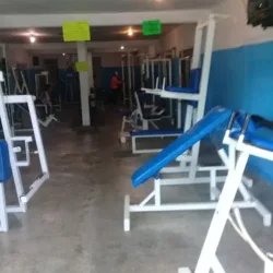 Phoenix Gym