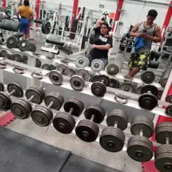 Ferminator Gym