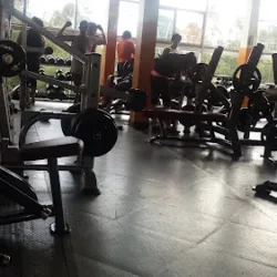 Gym Lifestyle