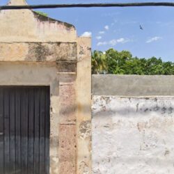 Servicio Tintorero de Campeche