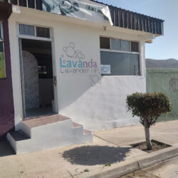 Lavanda Lavandería
