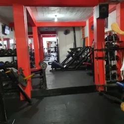 Gym Dragones