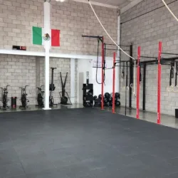 Tria Training