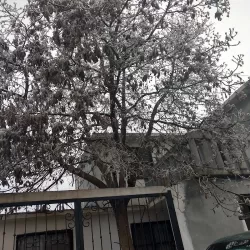 Mercería Y Papelería "Doña Paty"