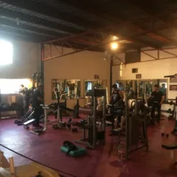 Monitos Gym