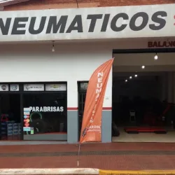 NEUMATICOS JARDÍN
