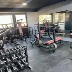 MAGIC GYM