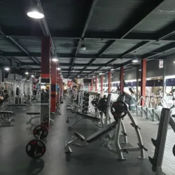 Great Fitness