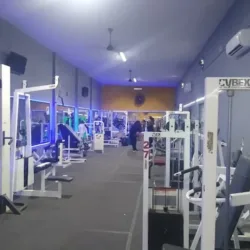 Fénix artes marciales