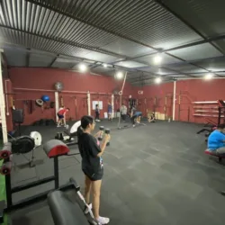 Freedom Training