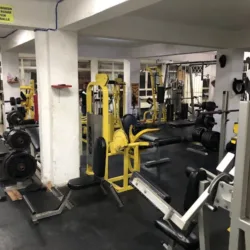 The King Gym