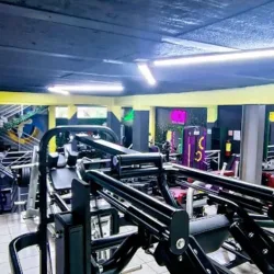 GO Sport Fitness