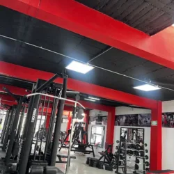 Nexus Red Gym