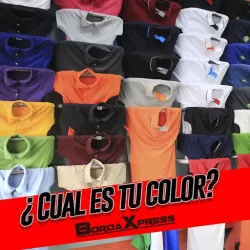 Borda Xpress