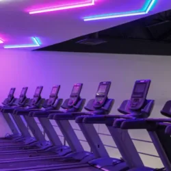 Trainer Gym Teófilo