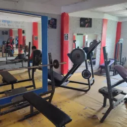 AMERICAN GYM