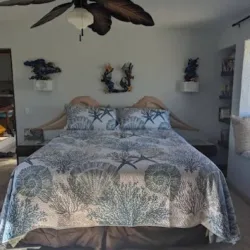 Cozy 1-bedroom condo in awesome Cabo San Lucas with AC and gym