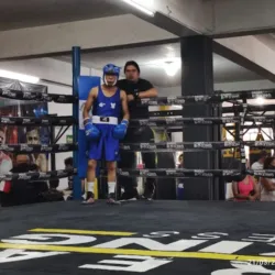 Perea boxing