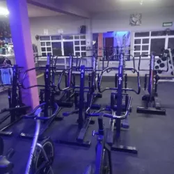 Vikingos gym Querétaro